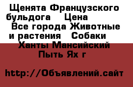 Щенята Французского бульдога. › Цена ­ 45 000 - Все города Животные и растения » Собаки   . Ханты-Мансийский,Пыть-Ях г.